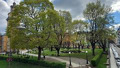 Stockholm (22)